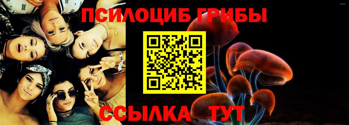 Галлюциногенные грибы Psilocybe  Вход с VPN  Миасс  даркнет сайт  Галлюциногенные грибы GOLDEN TEACHER 